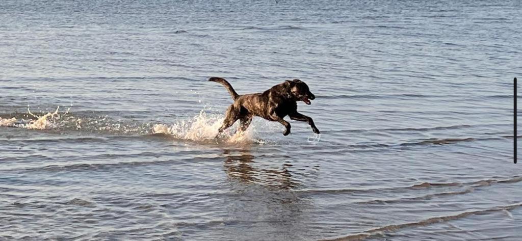 Zierow Ostsee Eksteriør bilde